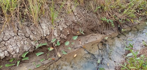The​ water​ in​ the​ stream​ was​ low​ and​ the​ ground​ was​ dry​ and​ cracked.