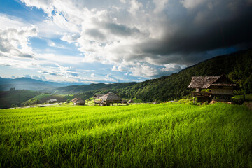 Rice terraces in northern Thailand.Happiness amid beautiful nature.