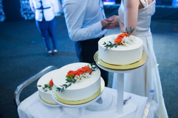 Obraz na płótnie Canvas Groom and bride stand next to a large wedding cake