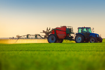 Fototapeta premium Farmer in tractor fertilizing wheat field,hdr nature landscape