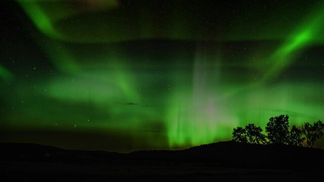 aurora with a foreground mountainous plain with trees at night