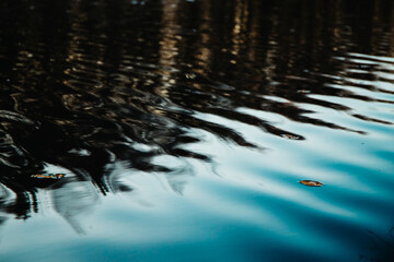 Moody nature photography of fallen leaf on dark water with reflections of autumn trees.