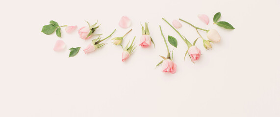 pink and white flowers on white  paper  background