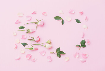 pink and white flowers on pink  paper  background