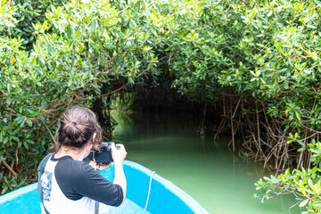 Manglares en la laguna de Cuyutlán, túneles de mangle