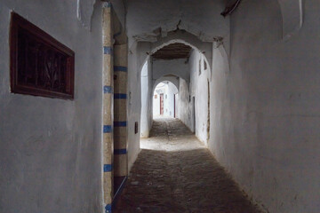 View of the old walls of Tetouan Medina quarter in Northern Morocco. A medina is typically walled, with many narrow and maze-like streets and often contain historical houses, palaces, places.