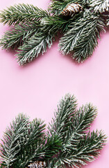 Christmas flat lay background with fir tree and decorations