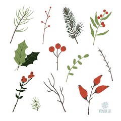 Set of winter floral decoration element with pine, leaves, berries and spruce. Hand drawn style.