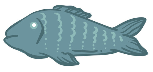 Fish animal, cooking and preparing sea meat food