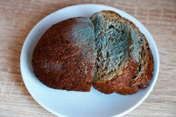 moldy rye bread on a white plate close up