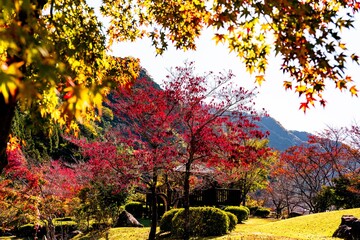 耶馬渓の紅葉
