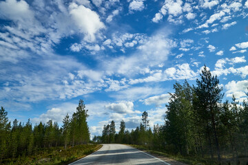 Beautiful landscape with blue sky, white clouds and the road that goes to the horizon with the forest and trees on the roadsides