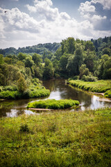 river in the forest