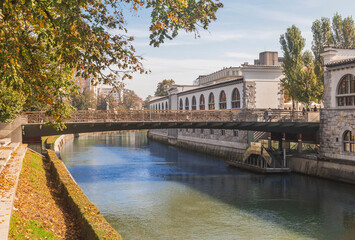 bridge in Ljubljana, on which the newlyweds hang locks as a sign of their loyalty