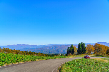 【妙高高原】紅葉時期の高原風景