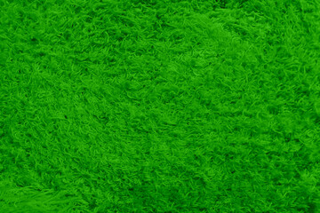 Fototapeta premium Abstract background with colored short nap. Smooth empty surface of the green. Blank for advertising textiles and fabrics