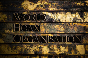 World Hoax Organisation text message on textured grunge copper and vintage gold background