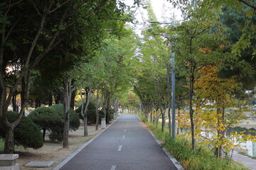 Paved pedestrian way or walk way with trees on sides for public walk