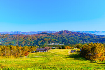 【妙高高原】紅葉時期の高原風景