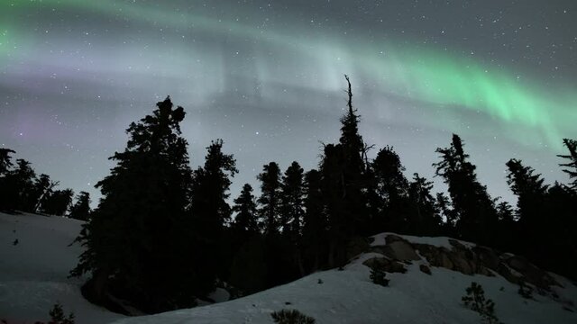 Aurora Green and Purple Over Pine Trees and Snowy Slopes 02 Loop