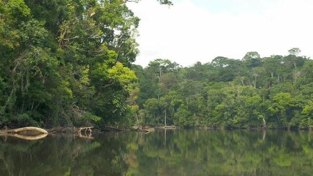 Over the river on the Amazonian forest