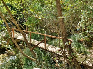 A wooden pedestrian bridge inside the magnificent gorge of Polylimnio.