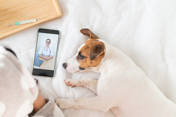 A woman communicates remotely with a doctor on her mobile while lying in bed. A loyal dog lies next to the sick owner. Online medicine