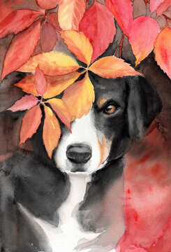 Watercolor illustration of  a cute black dog in colorful autumn leaves