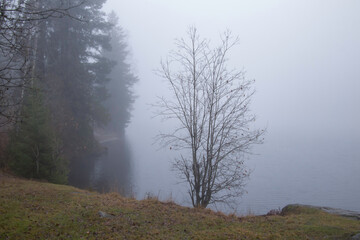 Obraz na płótnie Canvas misty morning by the lake
