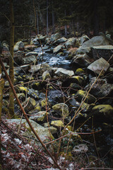 River Oker flowing through the valley Okertal. Wild scenery near the famous Engagement Island (Verlobungsinsel) at Harz Mountains National Park, Germany