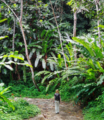 Young women is walking trough rain forest near Blanchisseuse (Trinidad)