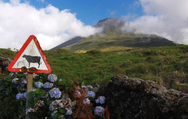 Weathered sign in front of volcano Pico - Pico island, Azores Islands