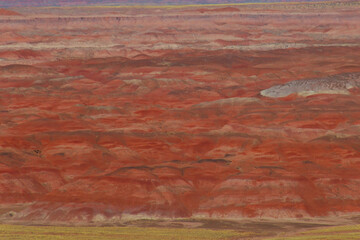 A landscape showing the various colors in the desert of northern Arizona.