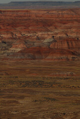 A landscape showing the various colors in the desert of northern Arizona.