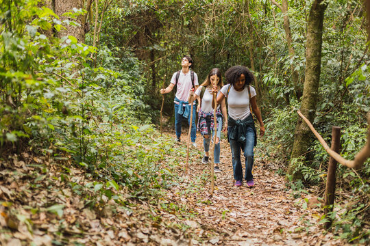 Group of friends, walking in the autumn forest, wearing comfortable clothes for hiking, exploring the jungle trails- Young friends hiking in the forest.