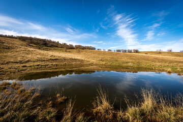 Small lake for cows on the Lessinia Plateau Regional Natural Park, Corno d'Aquilio mountain. Verona Province, Veneto, Italy, Europe.