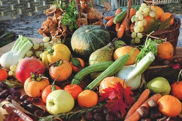 rustic autumn composition of fruits and vegetables - concept of seasonality