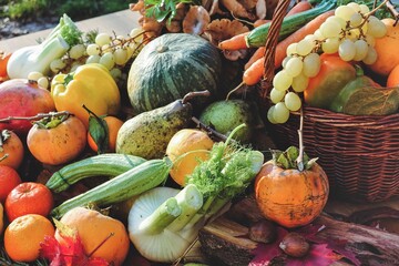 rustic autumn composition of fruits and vegetables - concept of seasonality