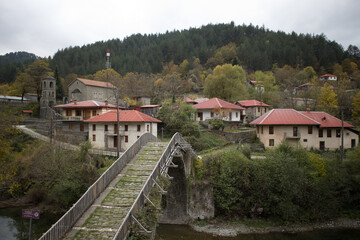 Fototapeta na wymiar Part of Vovousa village and the pedestrian stone bridge, which built in 1748. Near the waters river Aoos. Next to Pindus National Park (Valia Calda).