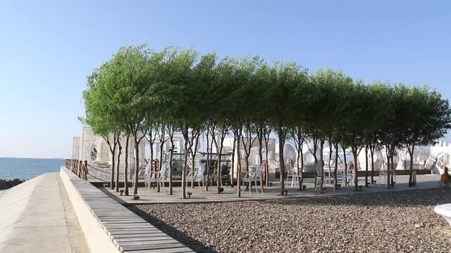 Idyllic landscape in Odessa. the cafe is decorated with large green trees near the shore.