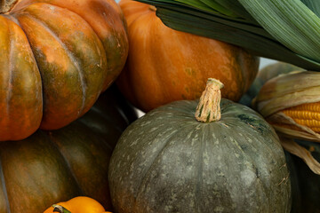 Background of a lot of colorful pumpkins