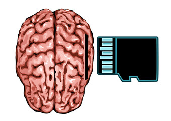 brain and memory card