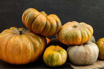Assortment of different pumpkins on dark wooden background
