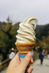 Milk soft ice cream on hand.