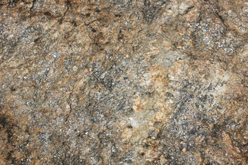Gneiss surface texture. Metamorphic rock