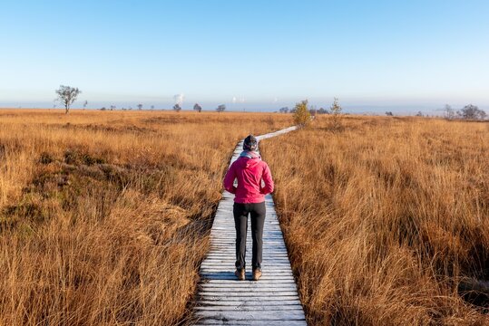 first cold winter day on the Hoge Venen .Belguim