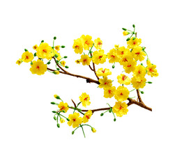 Fake Ochna branches to decorate for celebrating Lunar New Year. It's also called Tet holidays in Vietnam, isolated on white background