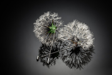 Jewelry made in shape dandelion flower. luxury concept. Beautiful handmade white round shape brooches, lying flat on a black background with glossy reflection. Women's jewelry, bijouterie, close-up