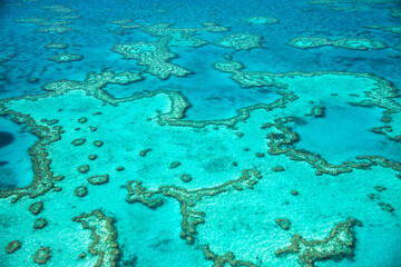 Fototapeta na wymiar Aerial view of the amazing Queensland Coral Reef from the airplane. Coral patterns overhead view
