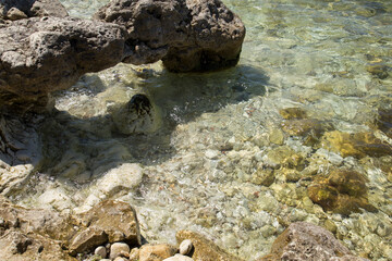 seashore with stones and waves
